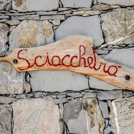 Lice - Sciacchetra